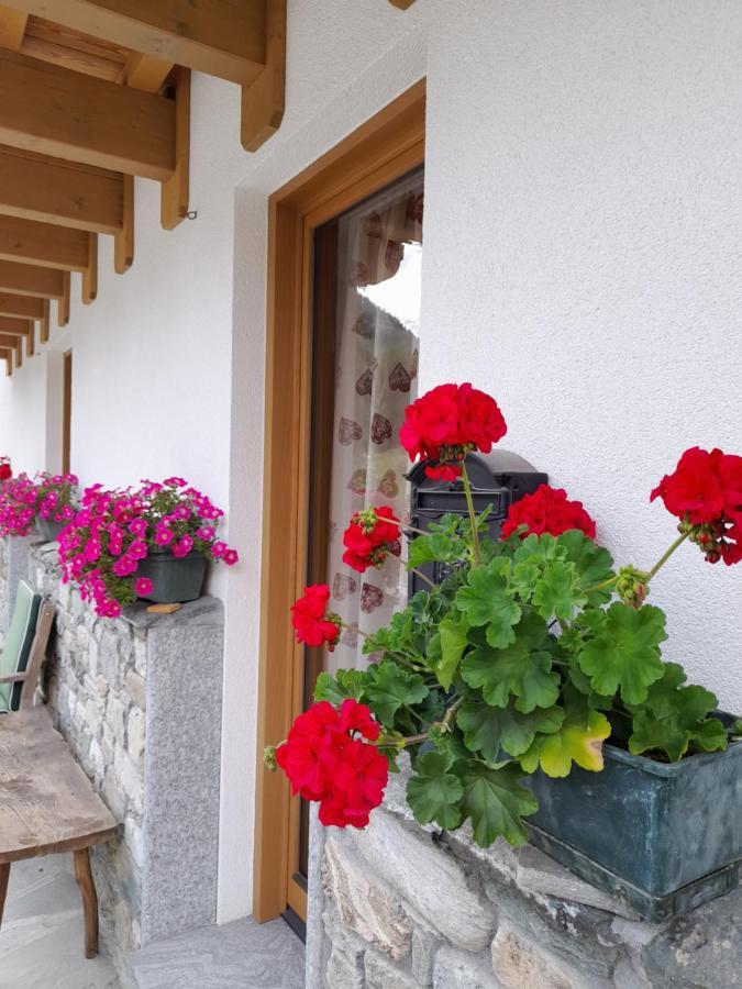 Chalet Gaspard Valtournenche Εξωτερικό φωτογραφία